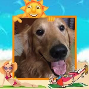 Meet your Posher, Wendy